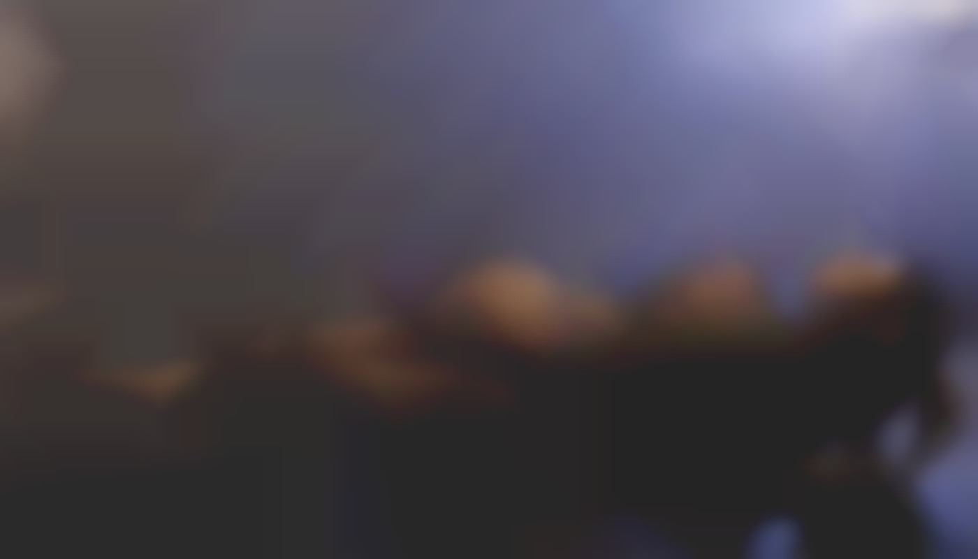 Exploring The Evolution Of Adult Gaming: Trends And Predictions